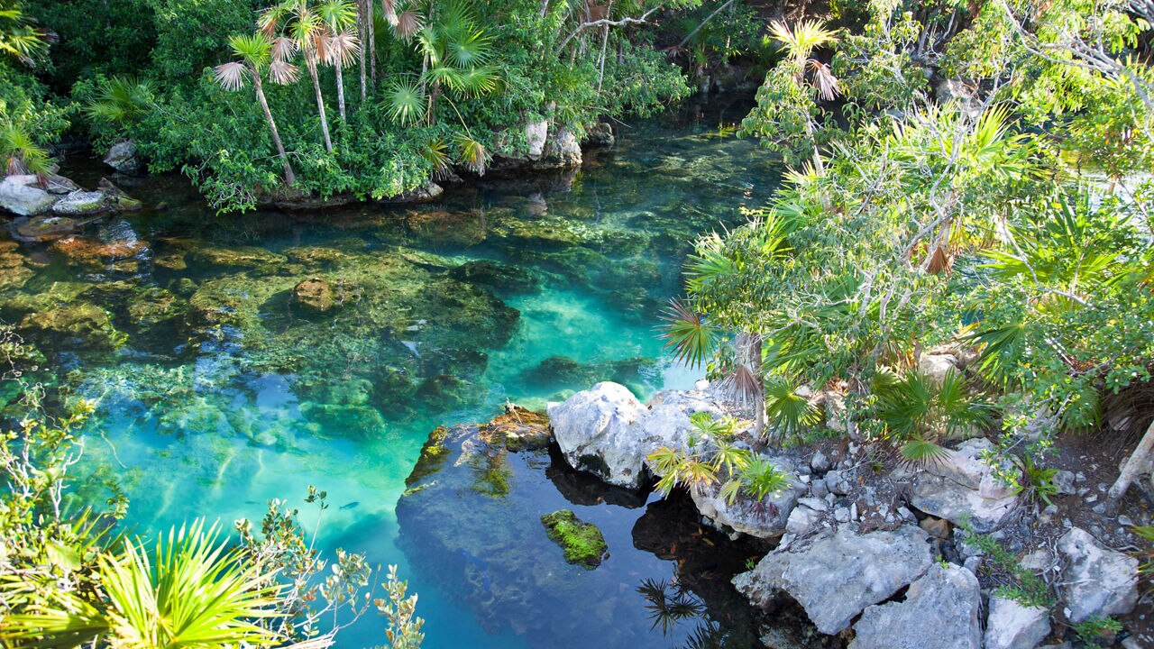 Xel Ha Lagoon 