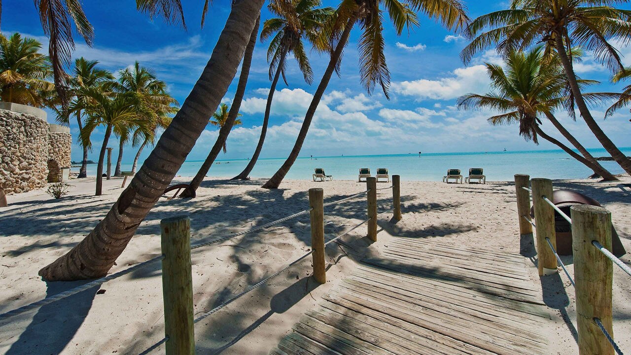 palm trees on a beach in Key West