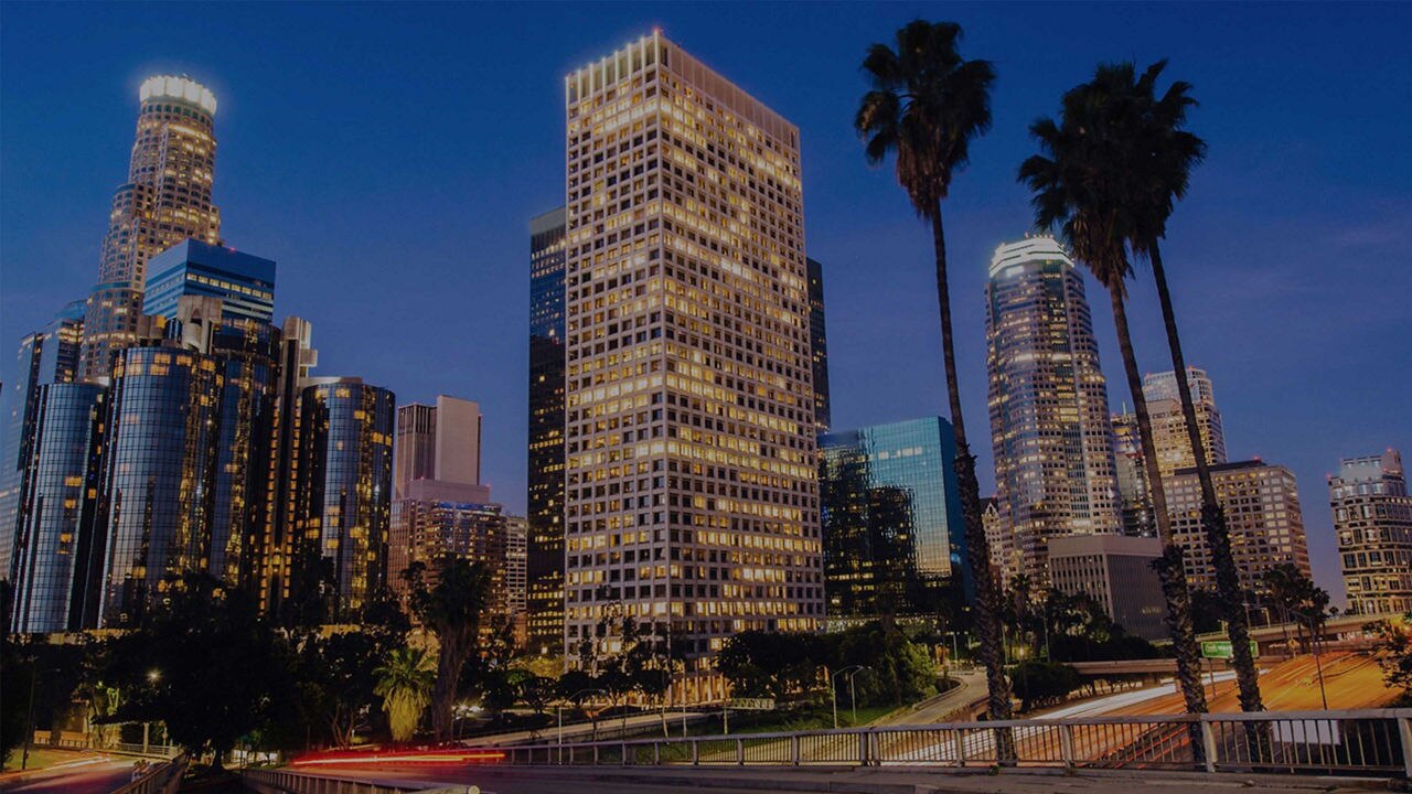 Los Angeles City Skyline Buildings