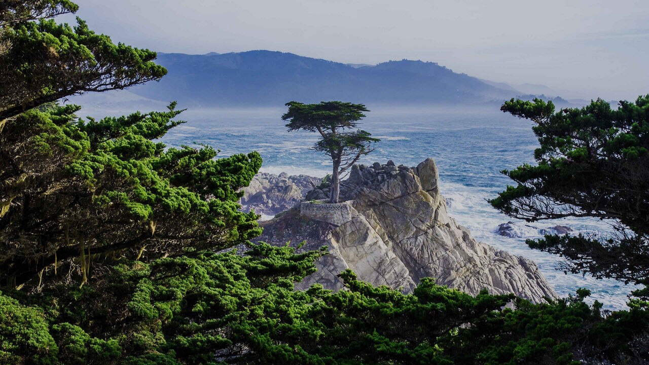 the Lone Cypress along Pebble Beach in Monterey, California