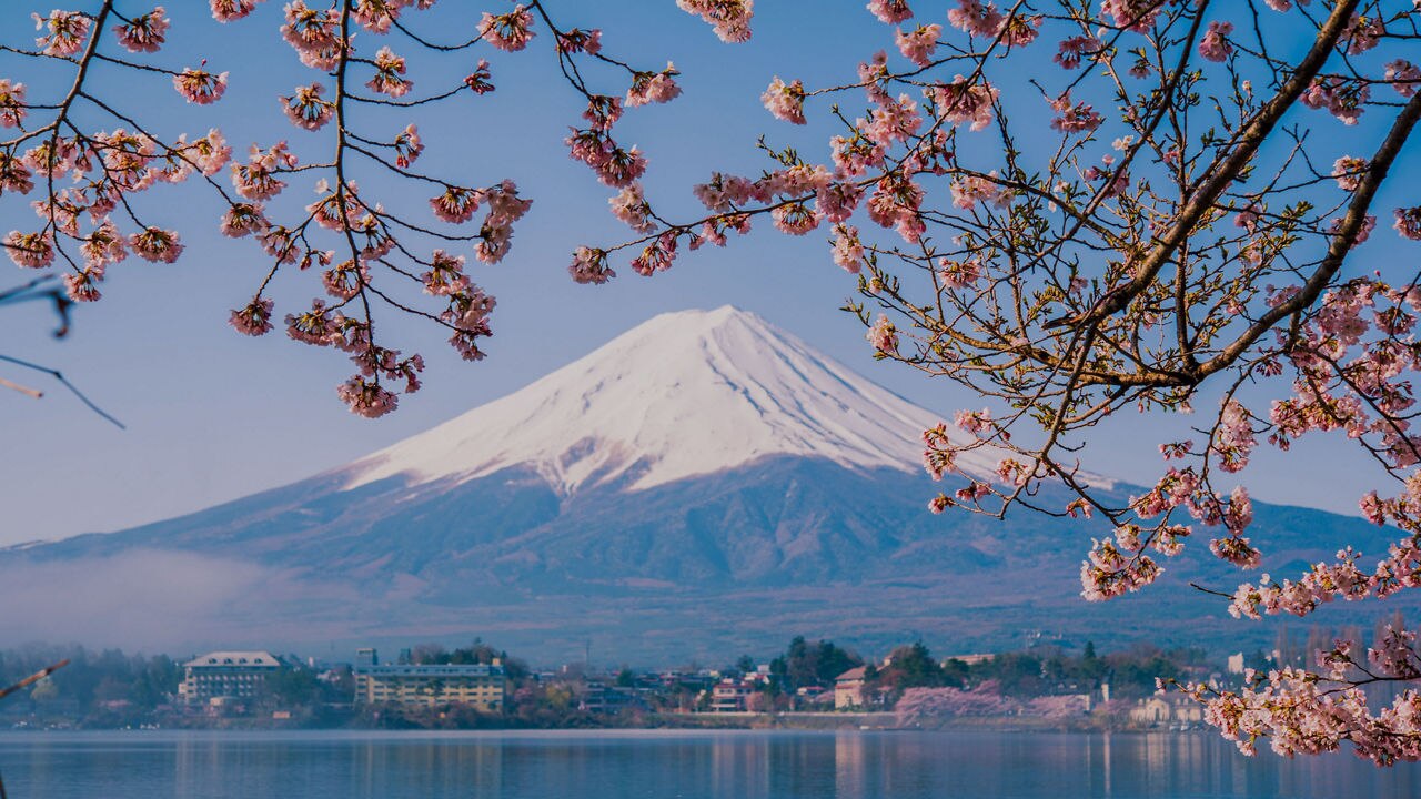 Mt. Fuji