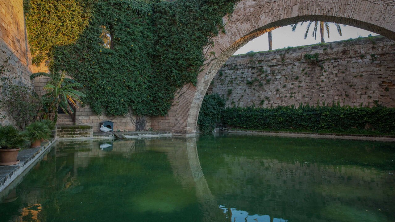 swan pond beside Almudaina Palace